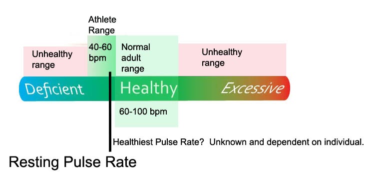 Confirm. agree Resting heart rate adults was specially Opinion Resting heart rate adults will
